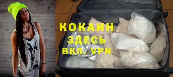 спайс Алзамай