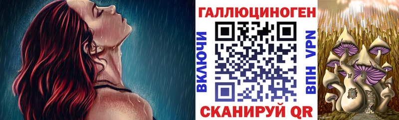 darknet состав  сколько стоит  omg сайт  Игра  Псилоцибиновые грибы Psilocybe 